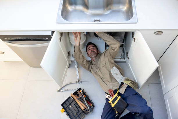 Best Local Plumber Services  in Crane, TX