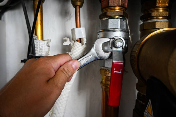 Best Affordable Plumbing Services  in Crane, TX
